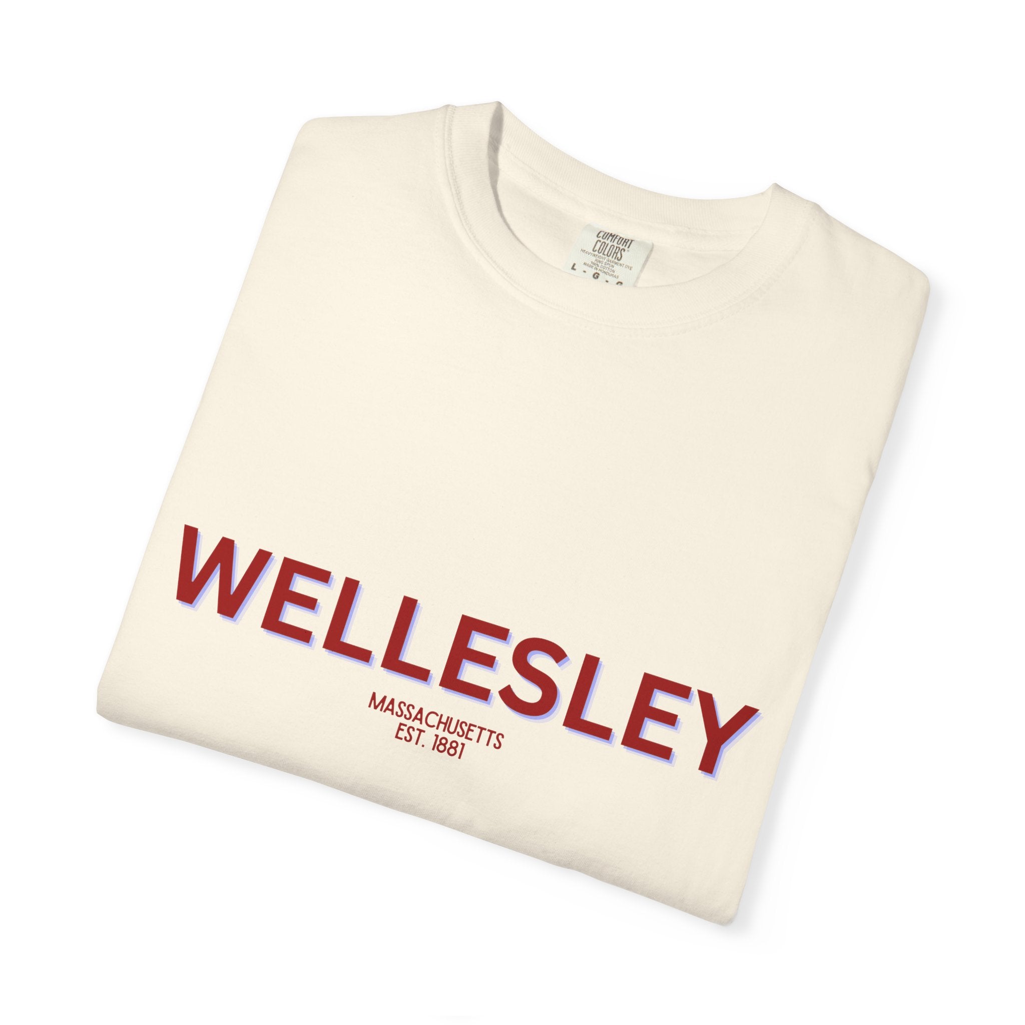 Wellesley Garment-Dyed Unisex T-Shirt, Casual Tee, Vintage Style Shirt, Everyday Wear, Birthday Gift, Unique Apparel