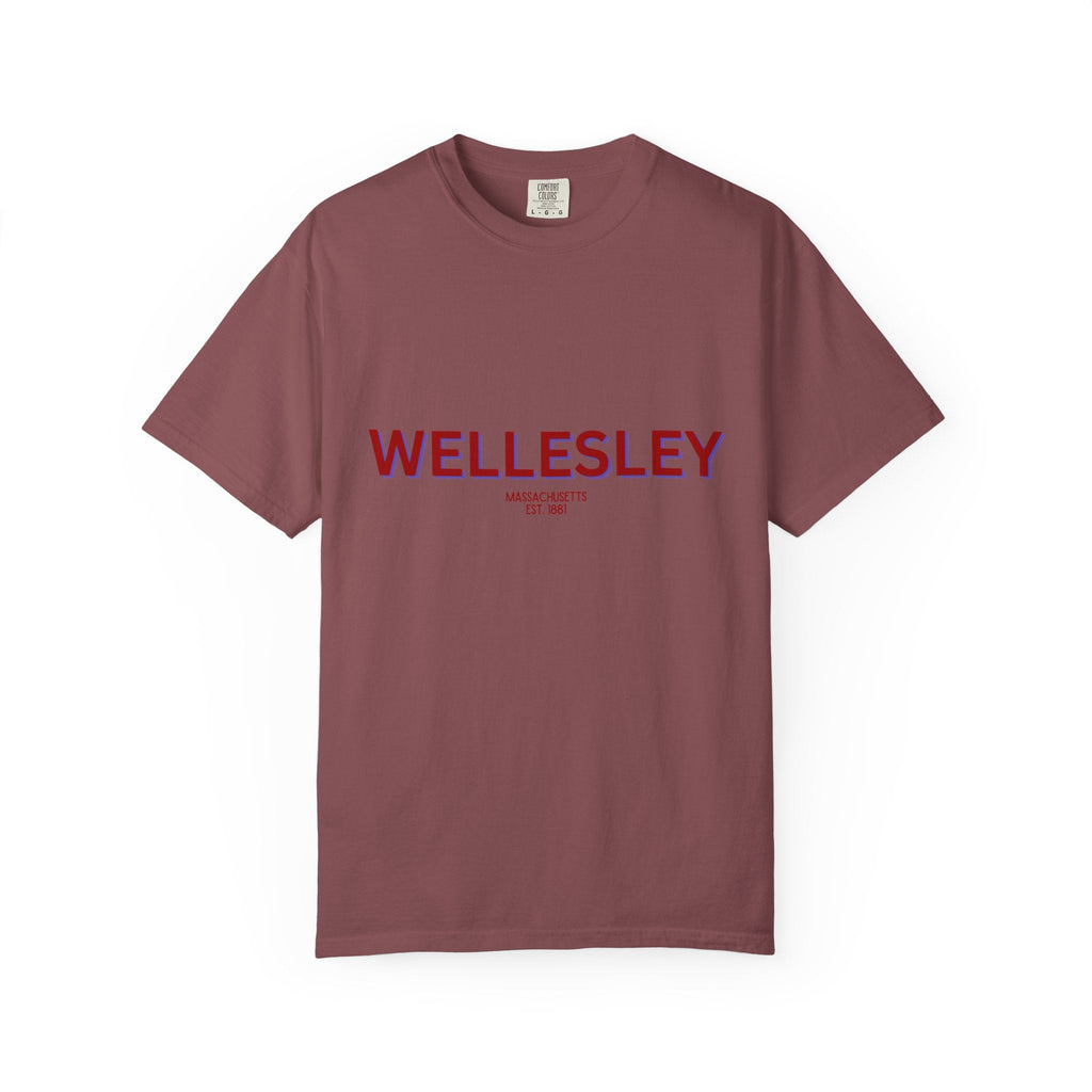 Wellesley Garment-Dyed Unisex T-Shirt, Casual Tee, Vintage Style Shirt, Everyday Wear, Birthday Gift, Unique Apparel
