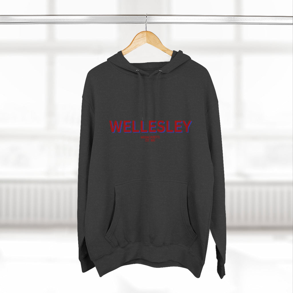 Wellesley Fleece Hoodie, Casual Sweatshirt, Cozy Layering Piece, Perfect Gift for All Occasions, Stylish Streetwear