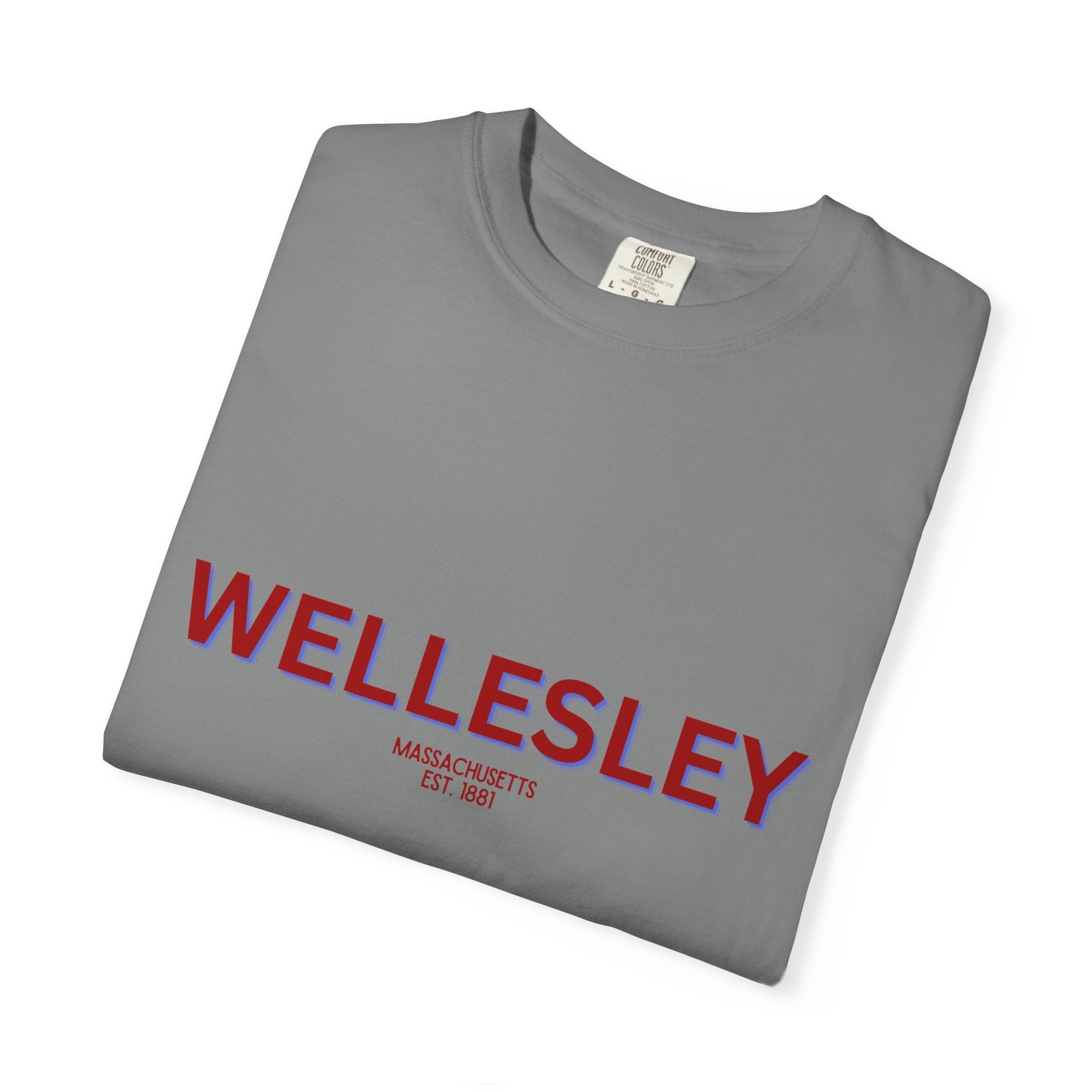 Wellesley Garment-Dyed Unisex T-Shirt, Casual Tee, Vintage Style Shirt, Everyday Wear, Birthday Gift, Unique Apparel