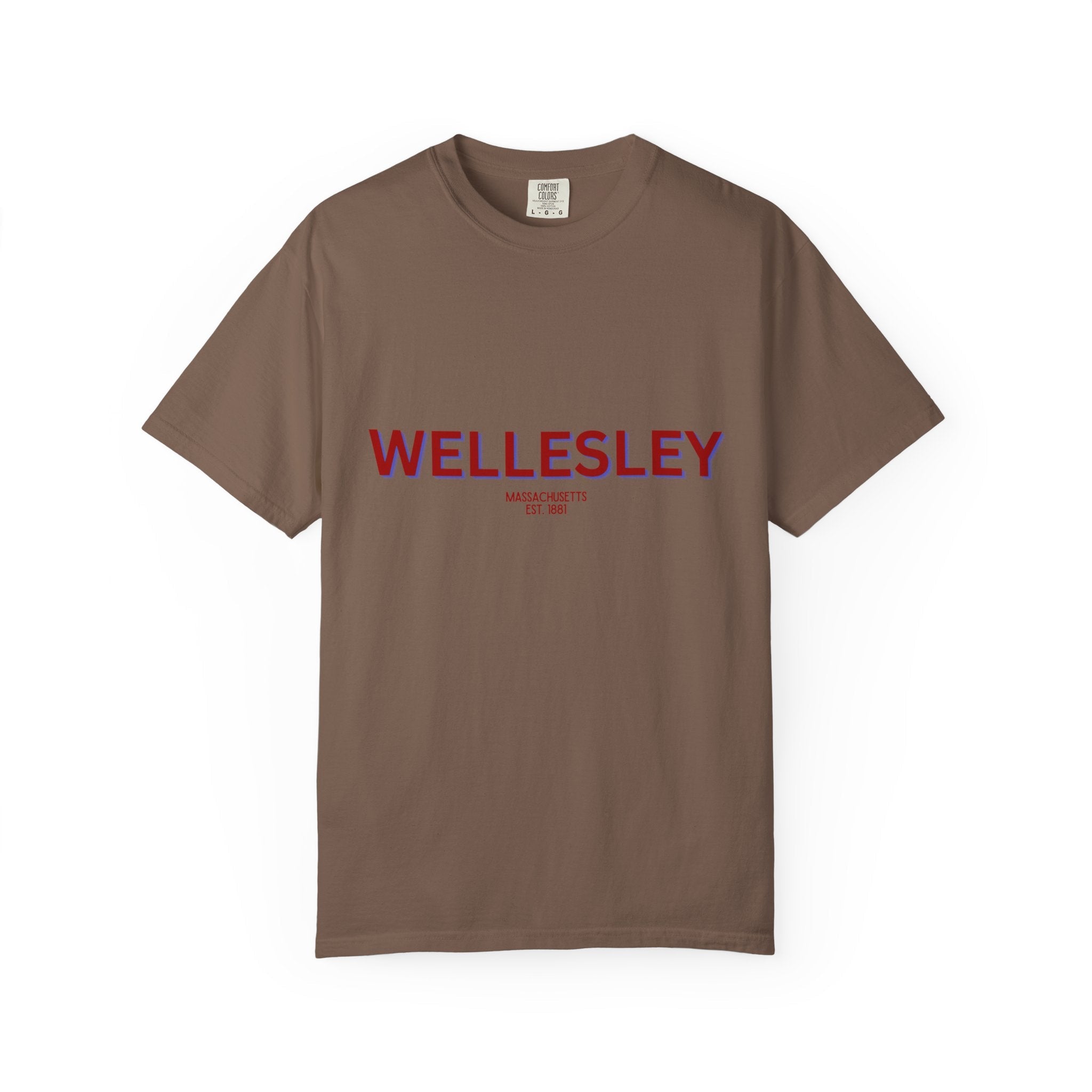 Wellesley Garment-Dyed Unisex T-Shirt, Casual Tee, Vintage Style Shirt, Everyday Wear, Birthday Gift, Unique Apparel