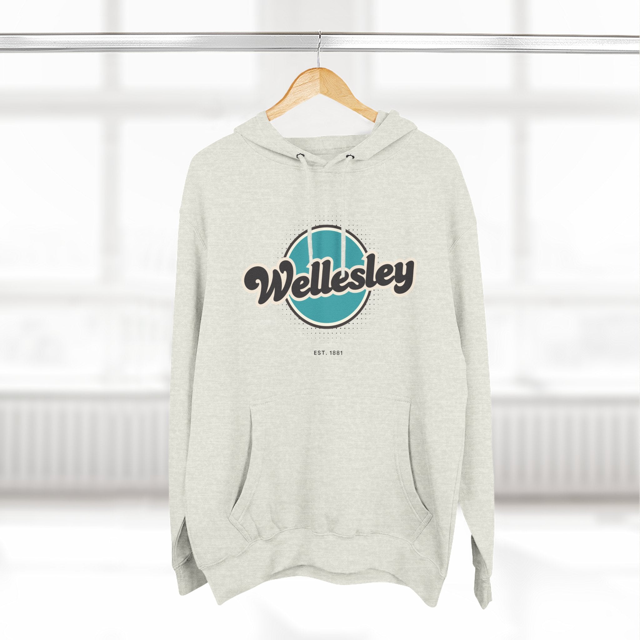 Wellesley Retro Vibe Hoodie for Casual Days, Streetwear, Unisex Gift, Cozy Layering Apparel