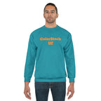 ColorStack UF Sweatshirt