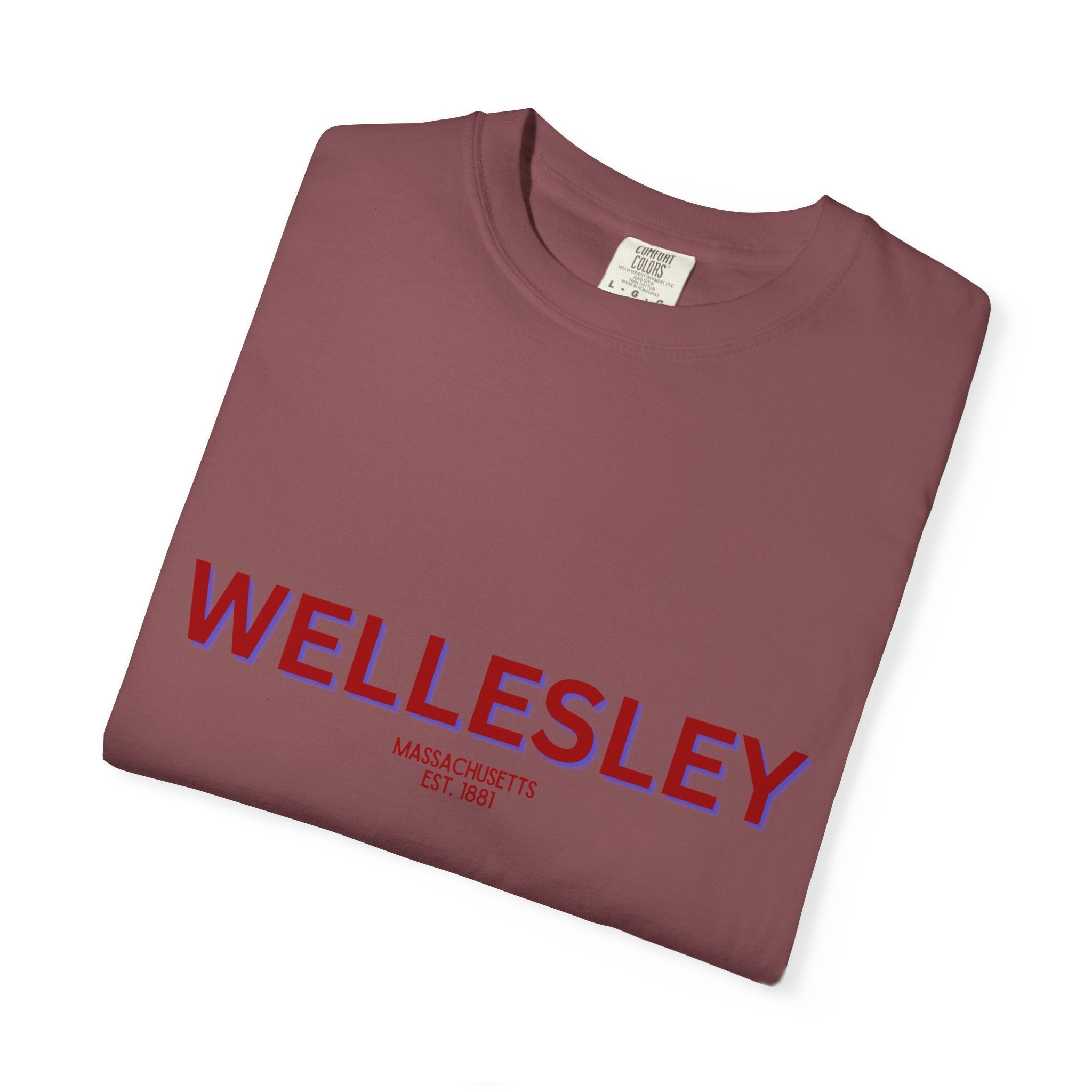 Wellesley Garment-Dyed Unisex T-Shirt, Casual Tee, Vintage Style Shirt, Everyday Wear, Birthday Gift, Unique Apparel