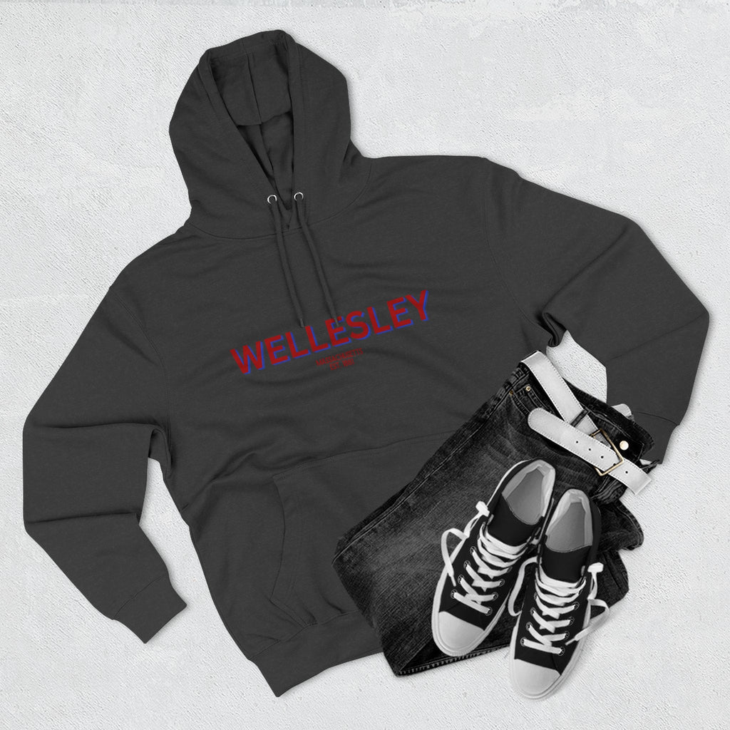 Wellesley Fleece Hoodie, Casual Sweatshirt, Cozy Layering Piece, Perfect Gift for All Occasions, Stylish Streetwear