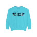 Wellesley Cozy Sweatshirt, Unisex Garment-Dyed Crew, Casual Wear, Gift for Friends, Fall Fashion, Lounge Style