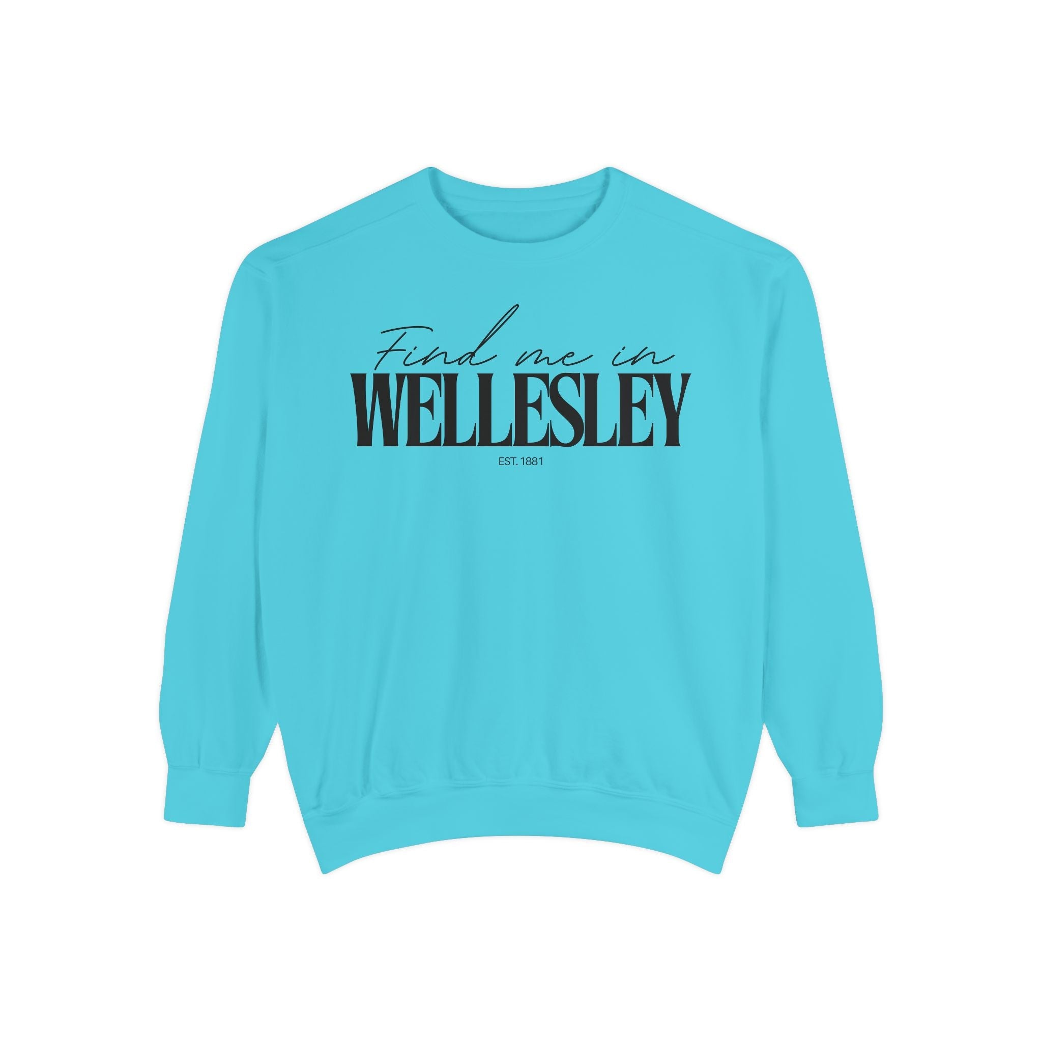 Wellesley Cozy Sweatshirt, Unisex Garment-Dyed Crew, Casual Wear, Gift for Friends, Fall Fashion, Lounge Style