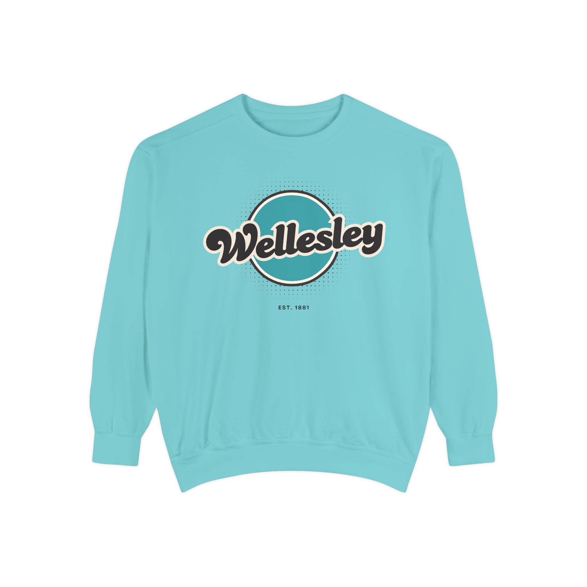 Wellesley Vintage Sweatshirt, Cozy Unisex Pullover, Retro Style, Perfect for Casual Outfits, Gift for Him or Her