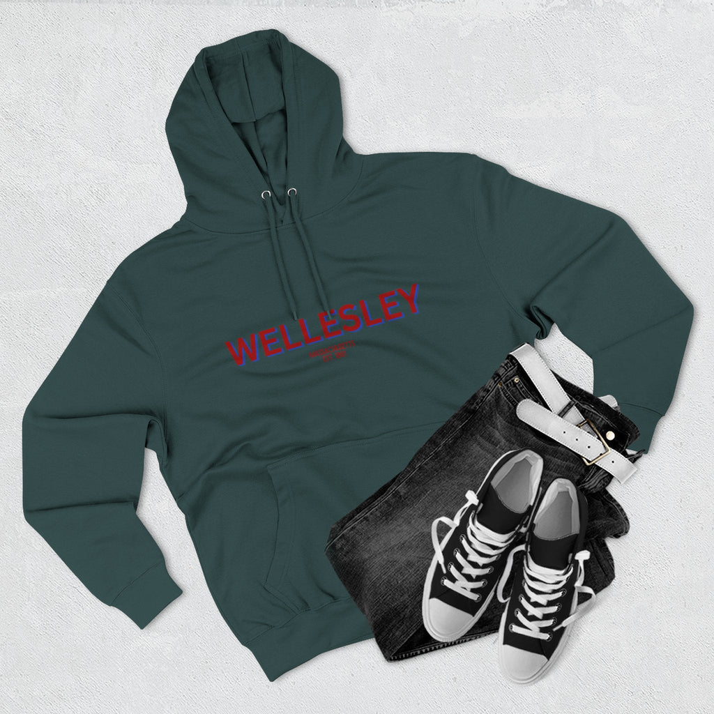 Wellesley Fleece Hoodie, Casual Sweatshirt, Cozy Layering Piece, Perfect Gift for All Occasions, Stylish Streetwear
