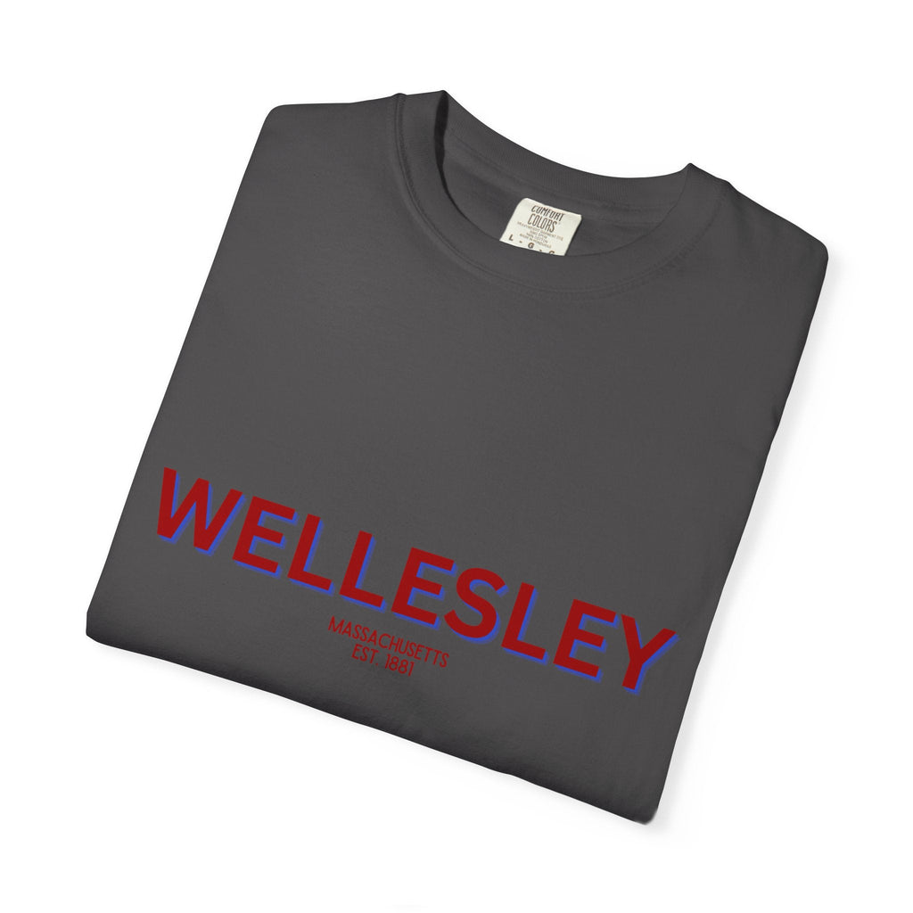 Wellesley Garment-Dyed Unisex T-Shirt, Casual Tee, Vintage Style Shirt, Everyday Wear, Birthday Gift, Unique Apparel