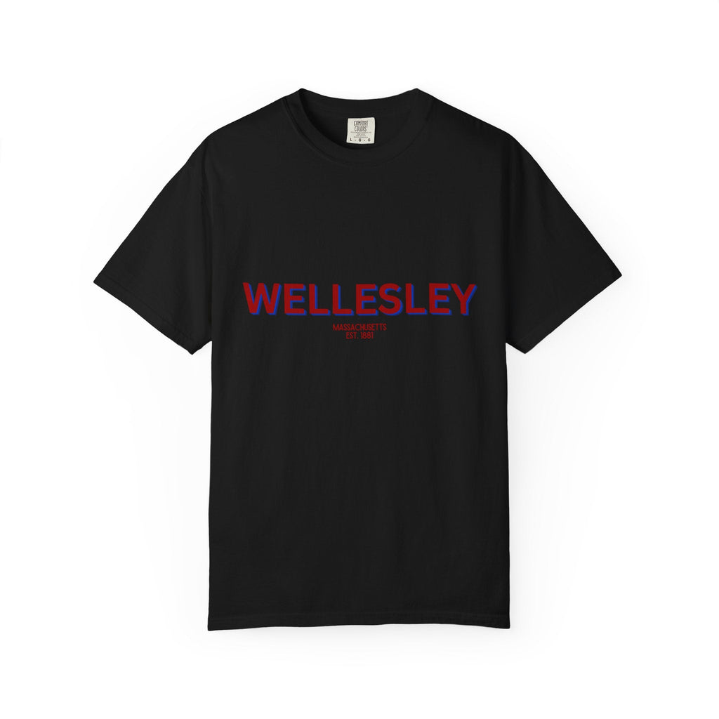 Wellesley Garment-Dyed Unisex T-Shirt, Casual Tee, Vintage Style Shirt, Everyday Wear, Birthday Gift, Unique Apparel