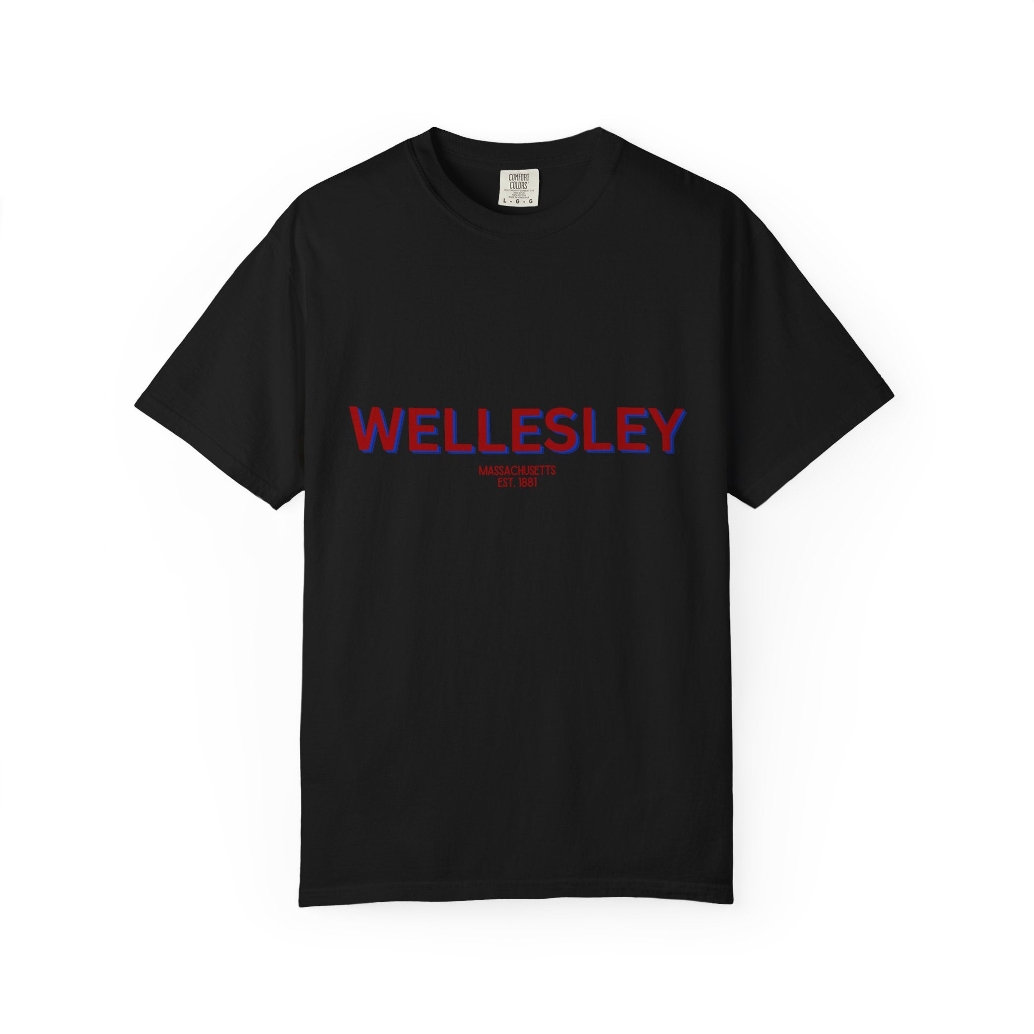 Wellesley Garment-Dyed Unisex T-Shirt, Casual Tee, Vintage Style Shirt, Everyday Wear, Birthday Gift, Unique Apparel