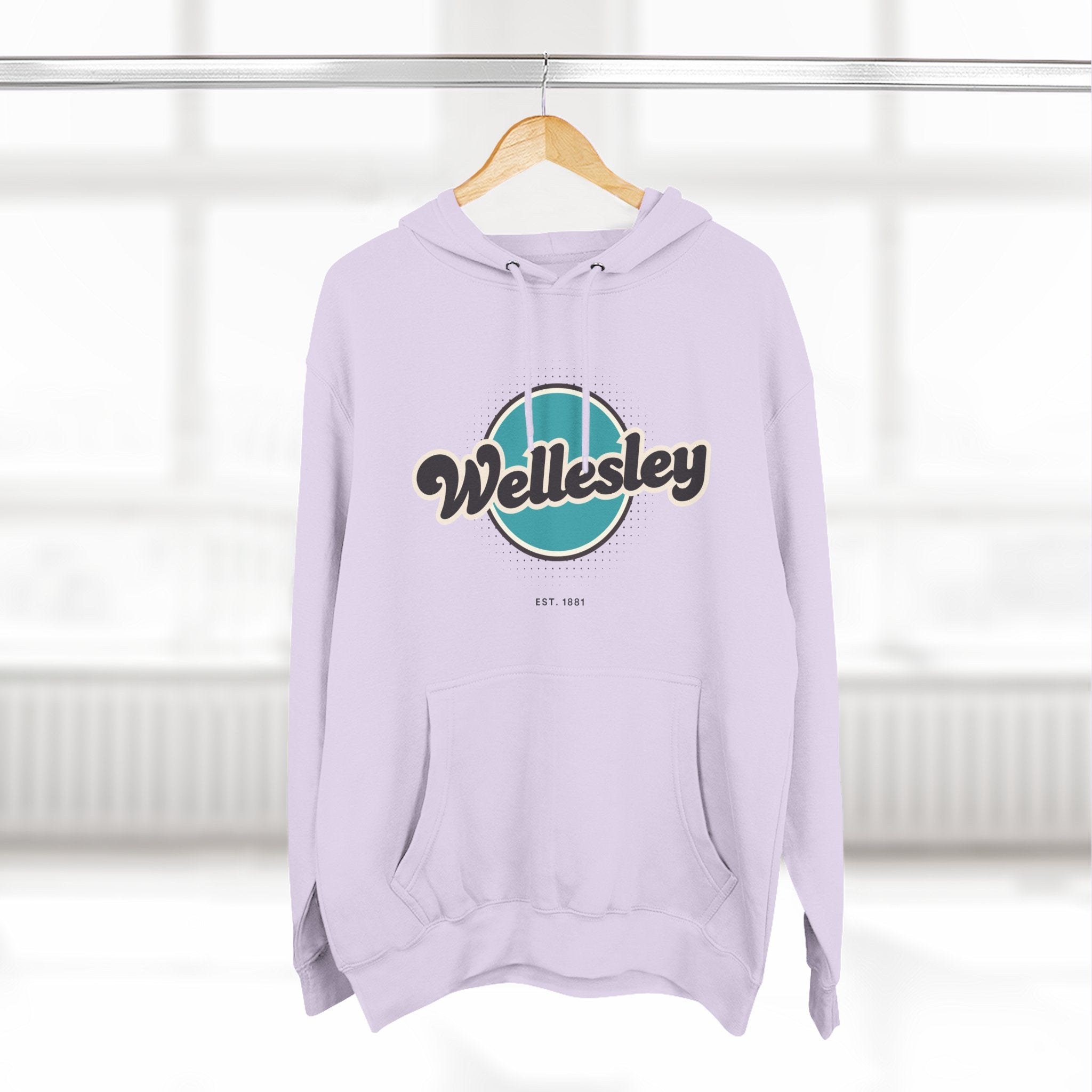 Wellesley Retro Vibe Hoodie for Casual Days, Streetwear, Unisex Gift, Cozy Layering Apparel