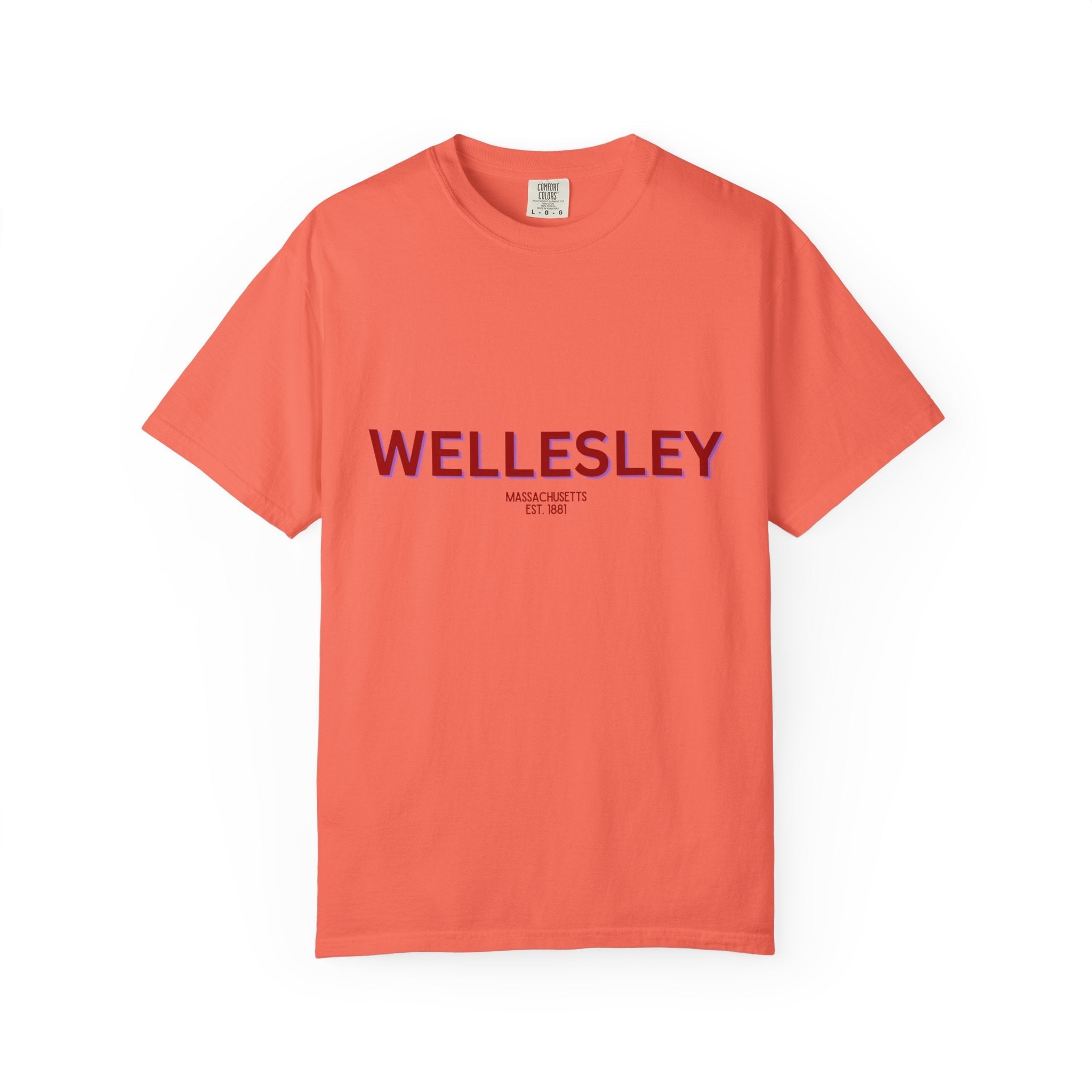 Wellesley Garment-Dyed Unisex T-Shirt, Casual Tee, Vintage Style Shirt, Everyday Wear, Birthday Gift, Unique Apparel