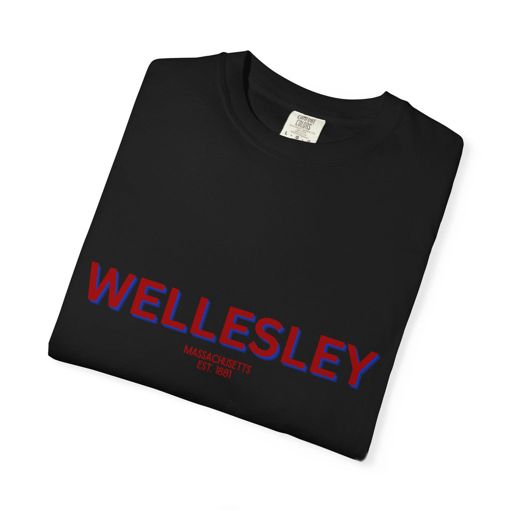 Wellesley Garment-Dyed Unisex T-Shirt, Casual Tee, Vintage Style Shirt, Everyday Wear, Birthday Gift, Unique Apparel