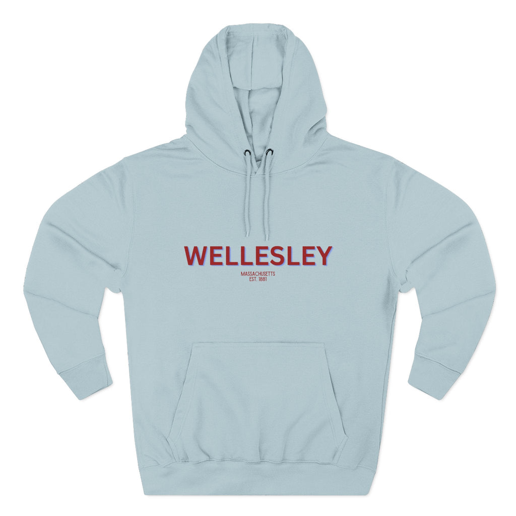 Wellesley Fleece Hoodie, Casual Sweatshirt, Cozy Layering Piece, Perfect Gift for All Occasions, Stylish Streetwear