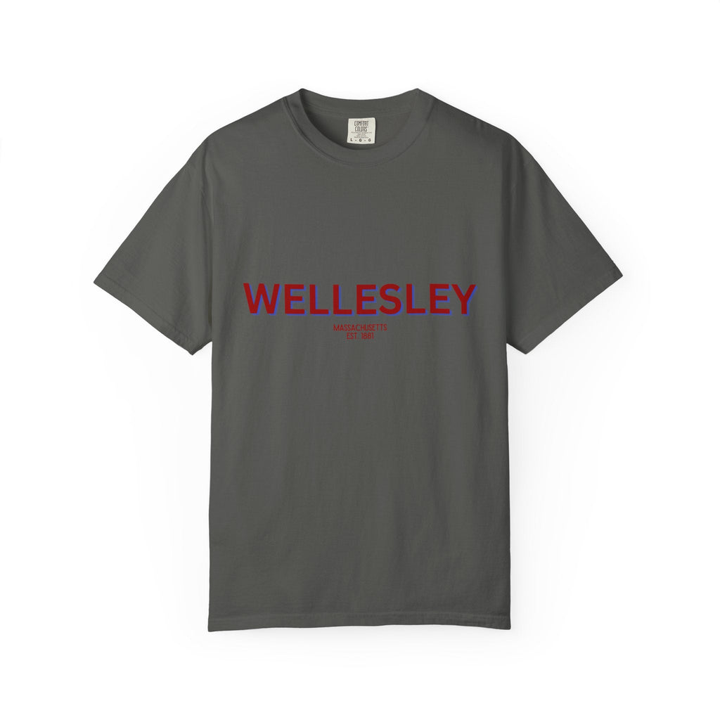 Wellesley Garment-Dyed Unisex T-Shirt, Casual Tee, Vintage Style Shirt, Everyday Wear, Birthday Gift, Unique Apparel