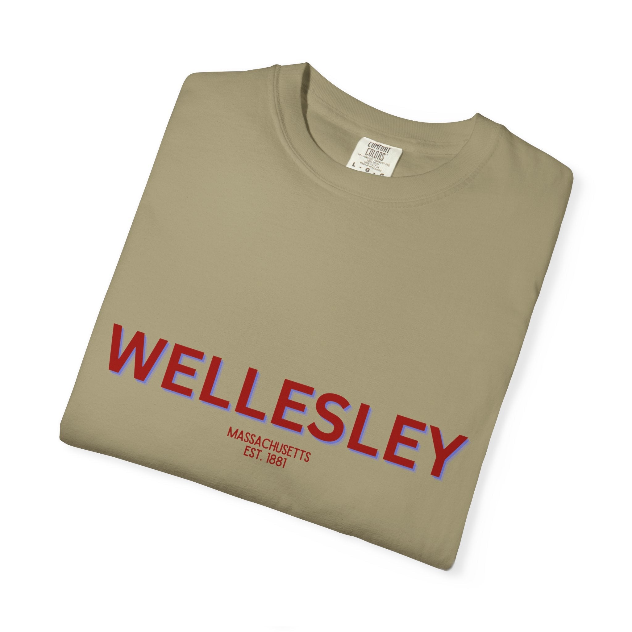 Wellesley Garment-Dyed Unisex T-Shirt, Casual Tee, Vintage Style Shirt, Everyday Wear, Birthday Gift, Unique Apparel