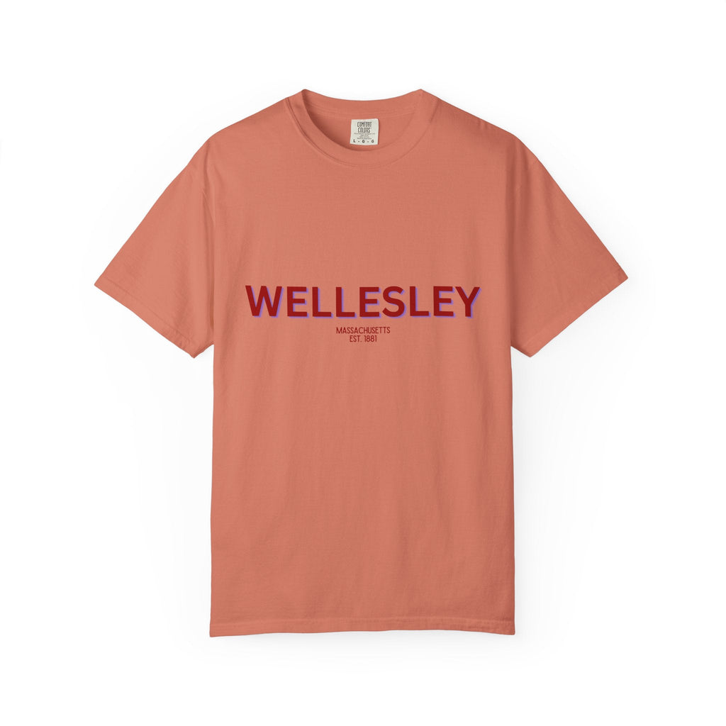Wellesley Garment-Dyed Unisex T-Shirt, Casual Tee, Vintage Style Shirt, Everyday Wear, Birthday Gift, Unique Apparel