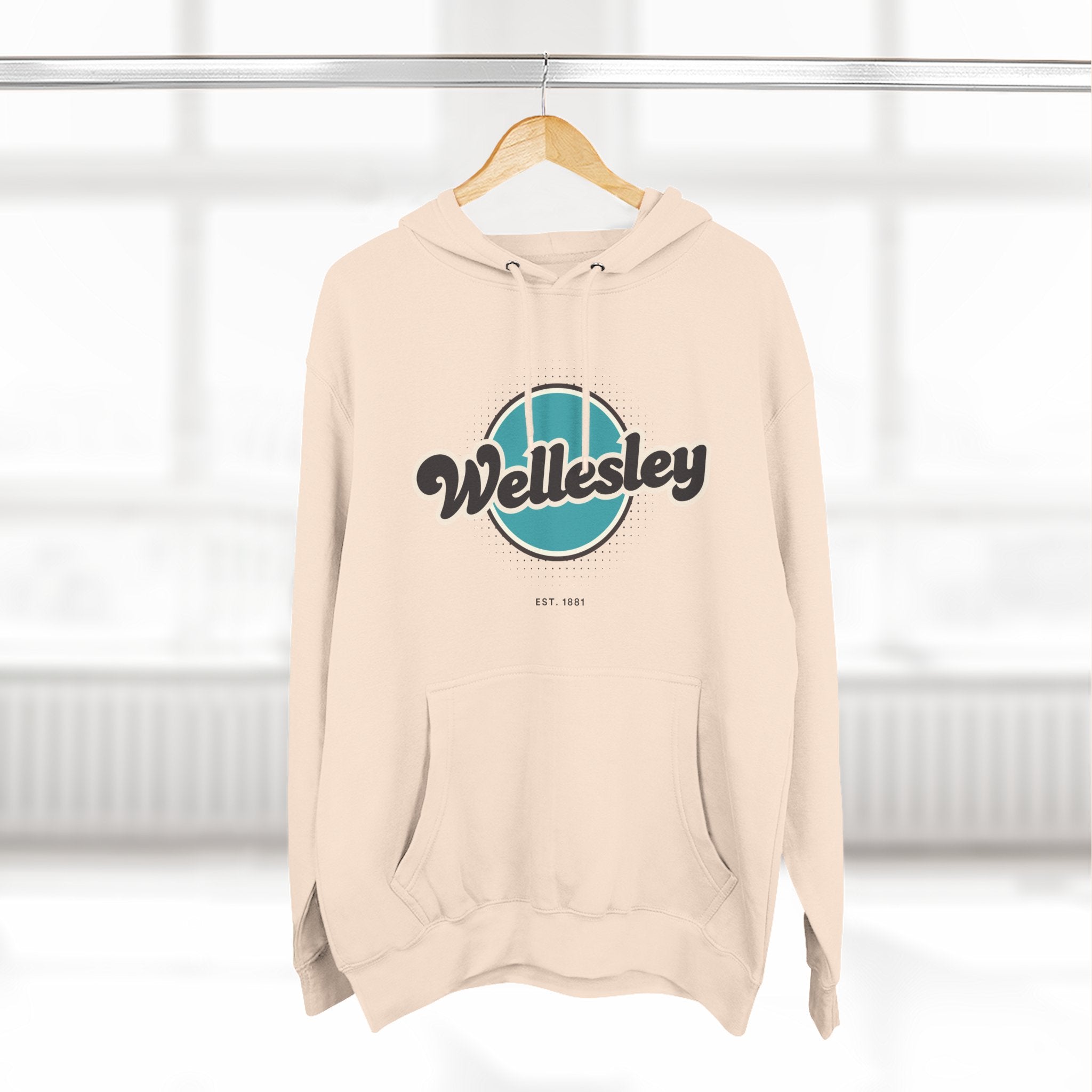 Wellesley Retro Vibe Hoodie for Casual Days, Streetwear, Unisex Gift, Cozy Layering Apparel