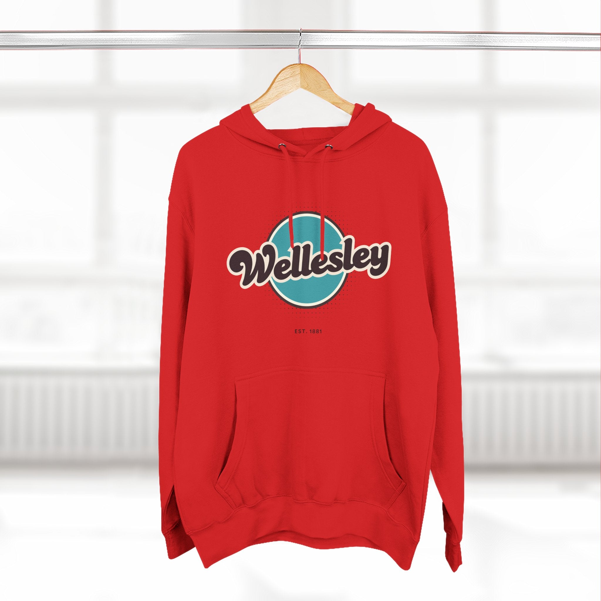 Wellesley Retro Vibe Hoodie for Casual Days, Streetwear, Unisex Gift, Cozy Layering Apparel