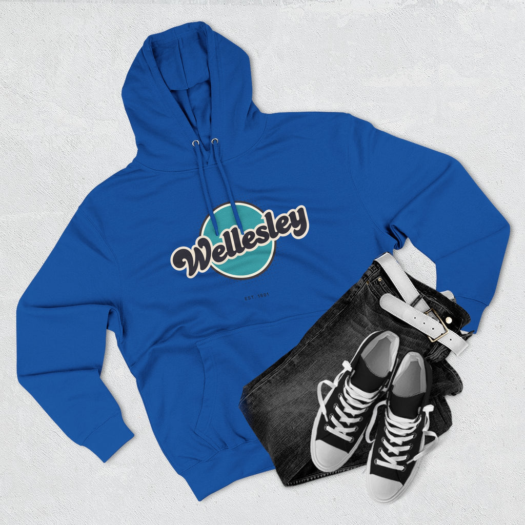 Wellesley Retro Vibe Hoodie for Casual Days, Streetwear, Unisex Gift, Cozy Layering Apparel