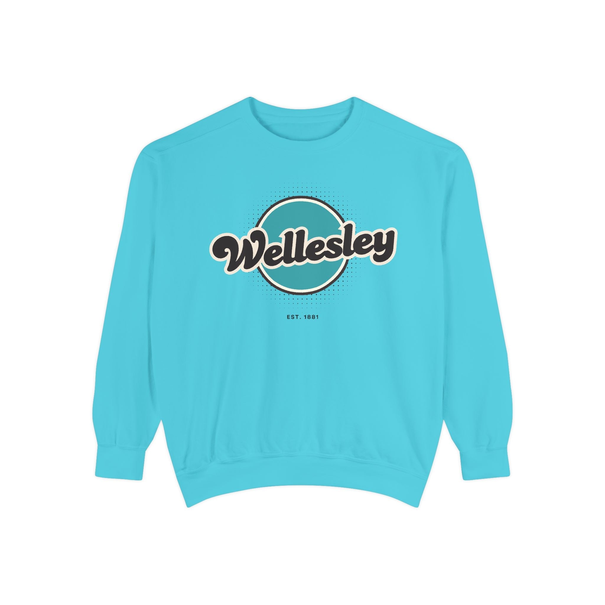Wellesley Vintage Sweatshirt, Cozy Unisex Pullover, Retro Style, Perfect for Casual Outfits, Gift for Him or Her