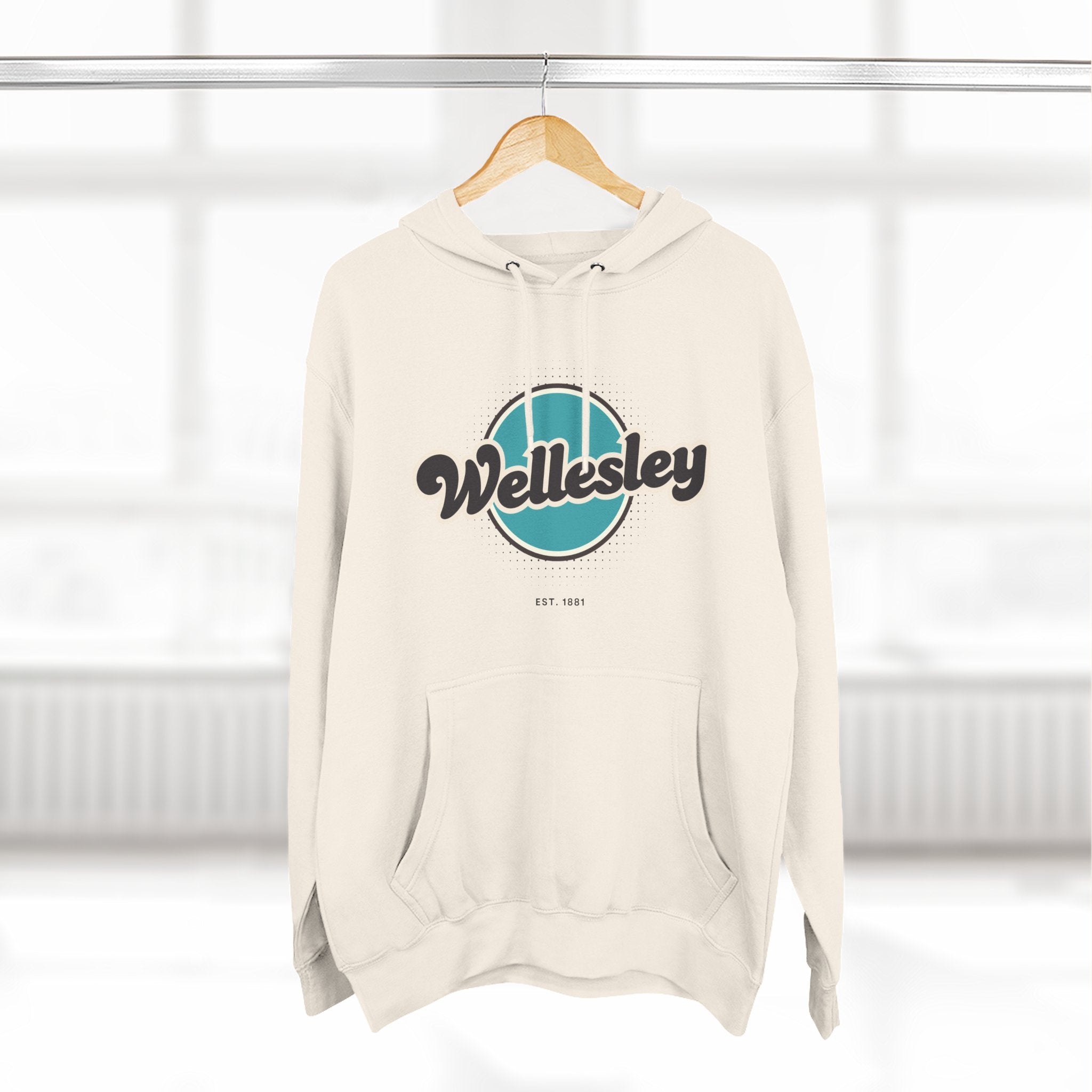 Wellesley Retro Vibe Hoodie for Casual Days, Streetwear, Unisex Gift, Cozy Layering Apparel