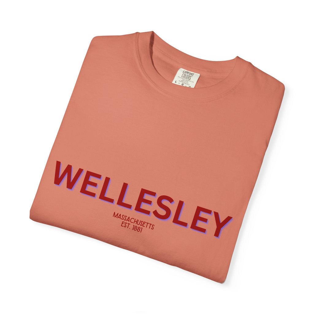 Wellesley Garment-Dyed Unisex T-Shirt, Casual Tee, Vintage Style Shirt, Everyday Wear, Birthday Gift, Unique Apparel