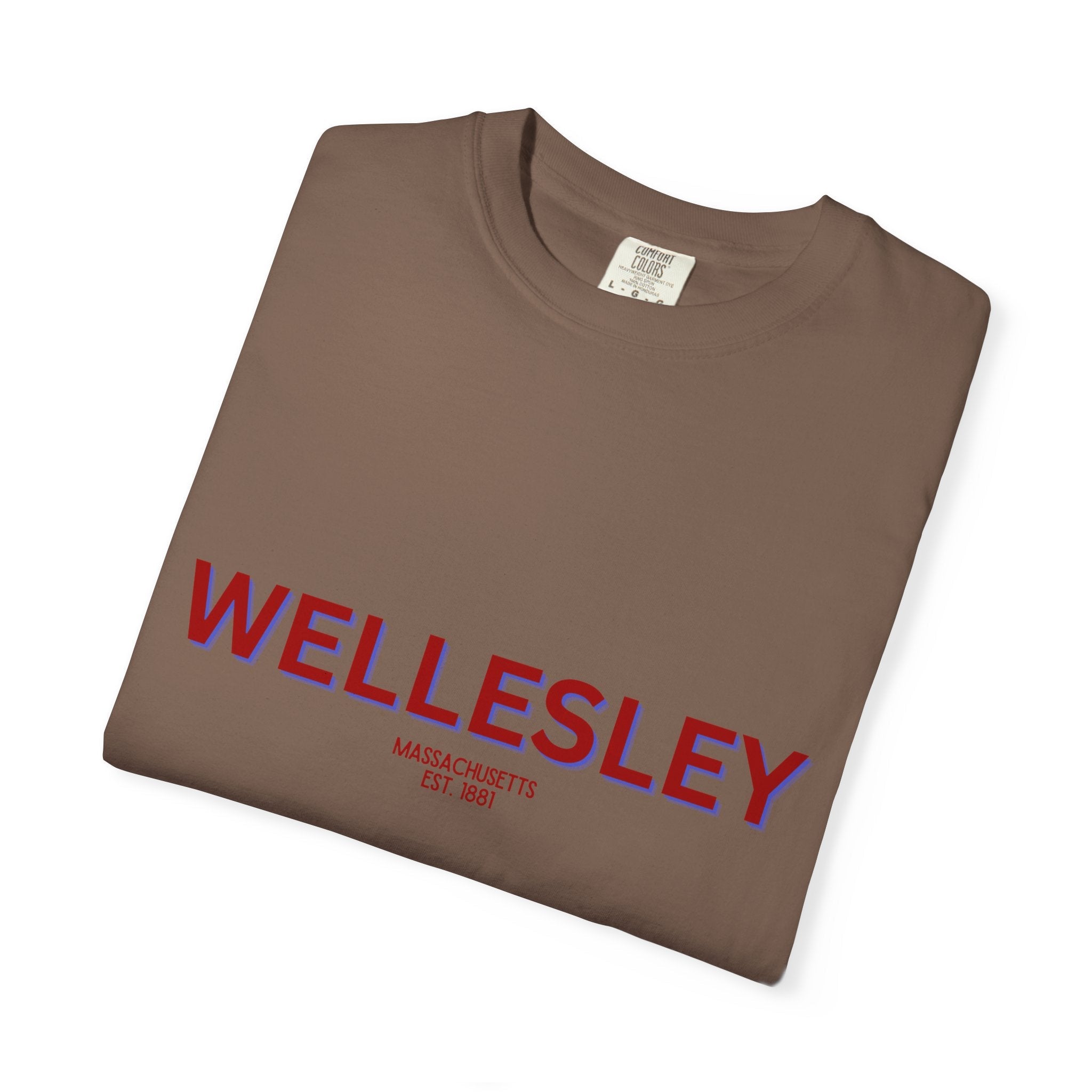 Wellesley Garment-Dyed Unisex T-Shirt, Casual Tee, Vintage Style Shirt, Everyday Wear, Birthday Gift, Unique Apparel