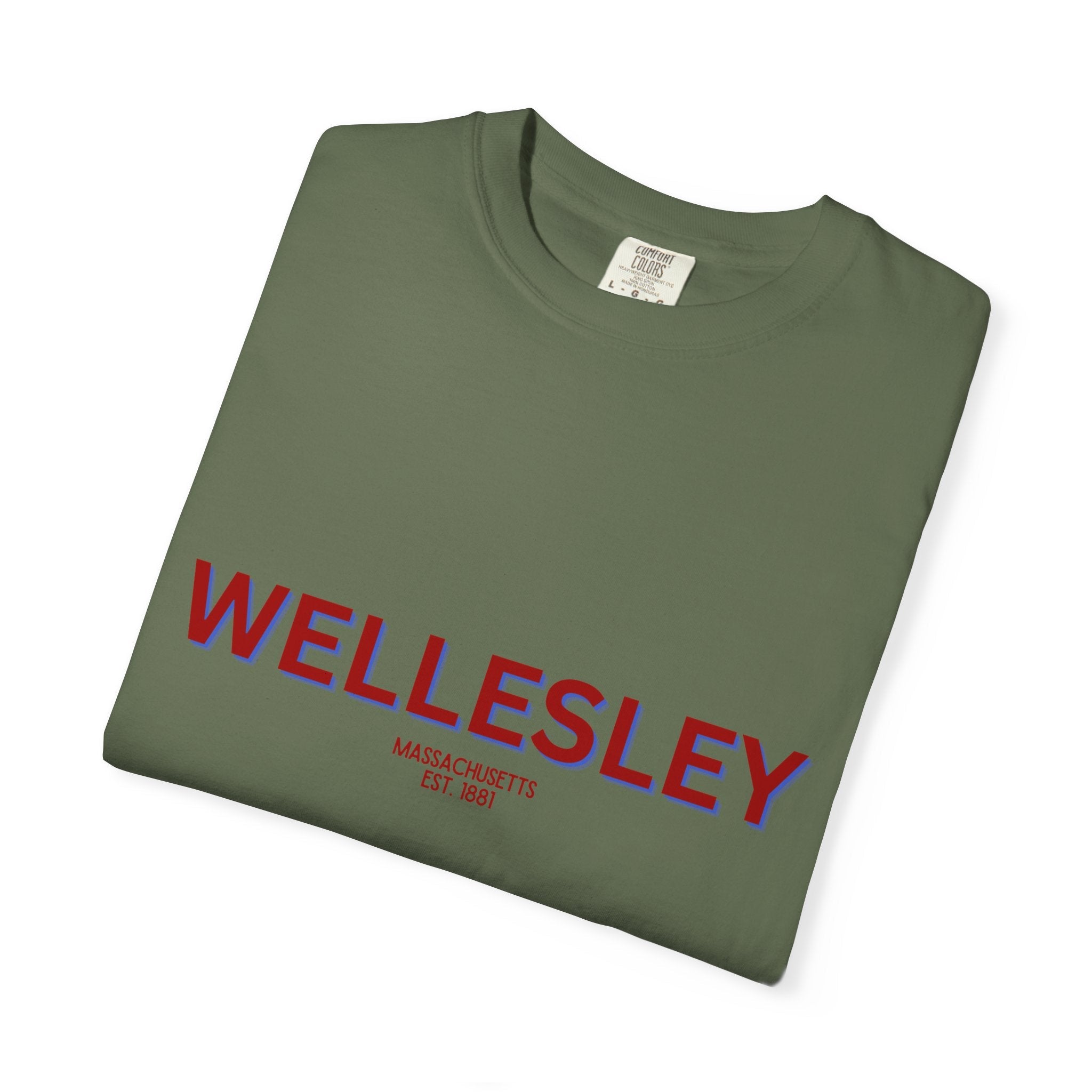 Wellesley Garment-Dyed Unisex T-Shirt, Casual Tee, Vintage Style Shirt, Everyday Wear, Birthday Gift, Unique Apparel