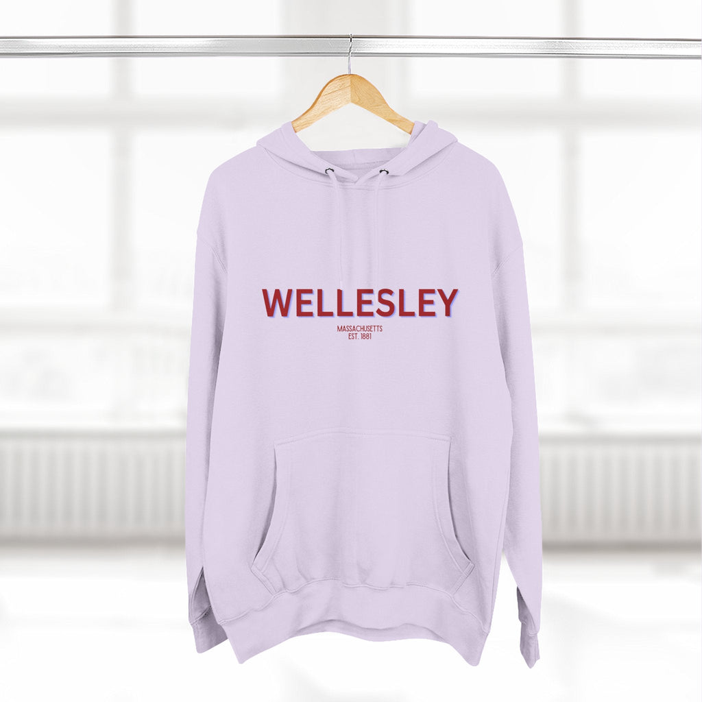 Wellesley Fleece Hoodie, Casual Sweatshirt, Cozy Layering Piece, Perfect Gift for All Occasions, Stylish Streetwear