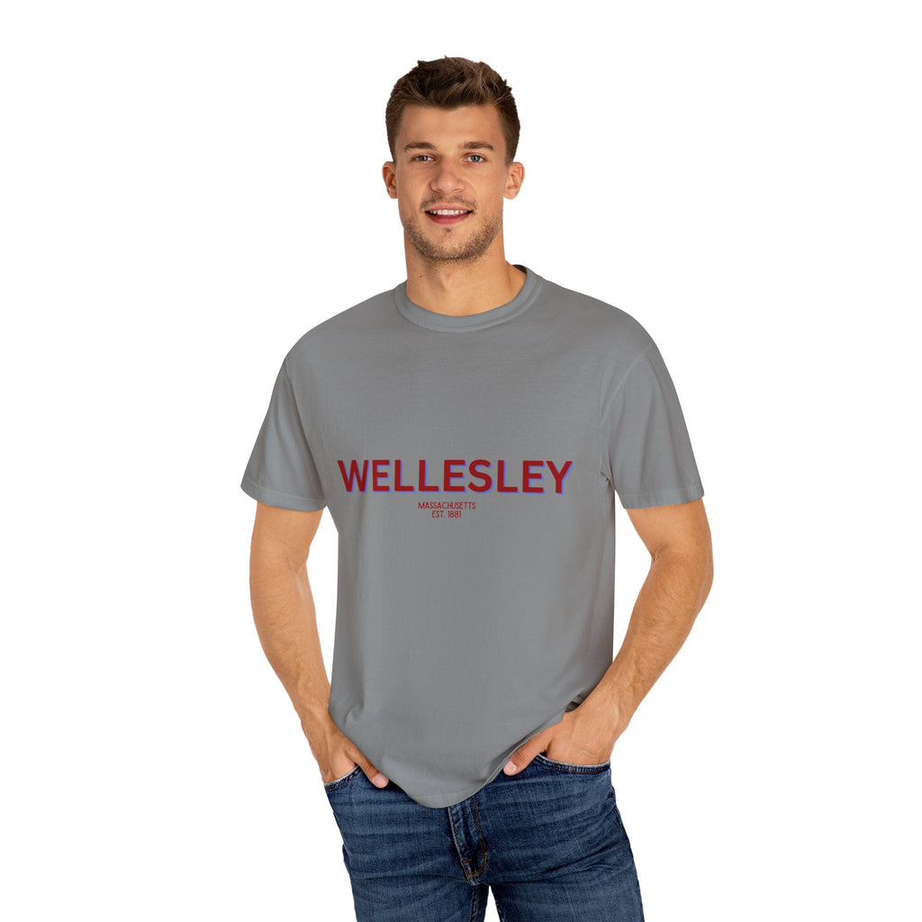 Wellesley Garment-Dyed Unisex T-Shirt, Casual Tee, Vintage Style Shirt, Everyday Wear, Birthday Gift, Unique Apparel