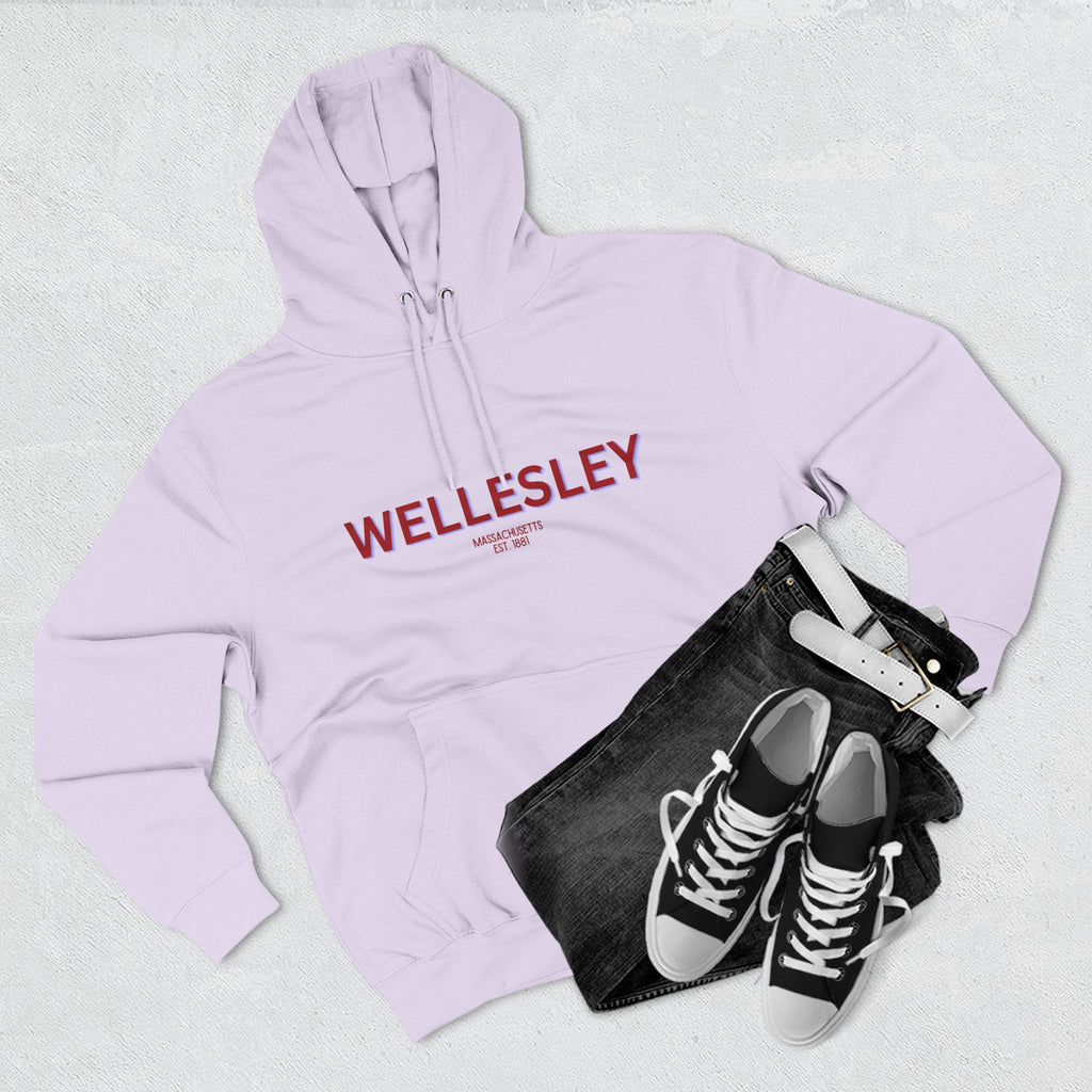 Wellesley Fleece Hoodie, Casual Sweatshirt, Cozy Layering Piece, Perfect Gift for All Occasions, Stylish Streetwear
