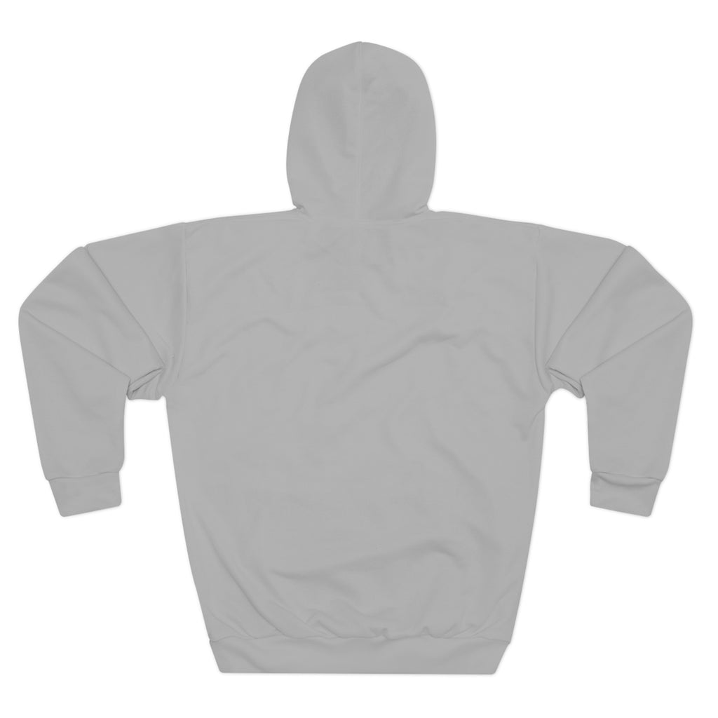 American Institute of Aeronautics and Astronautics Hoodie