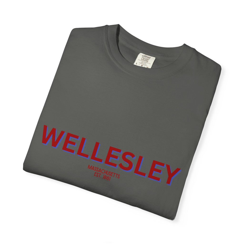 Wellesley Garment-Dyed Unisex T-Shirt, Casual Tee, Vintage Style Shirt, Everyday Wear, Birthday Gift, Unique Apparel