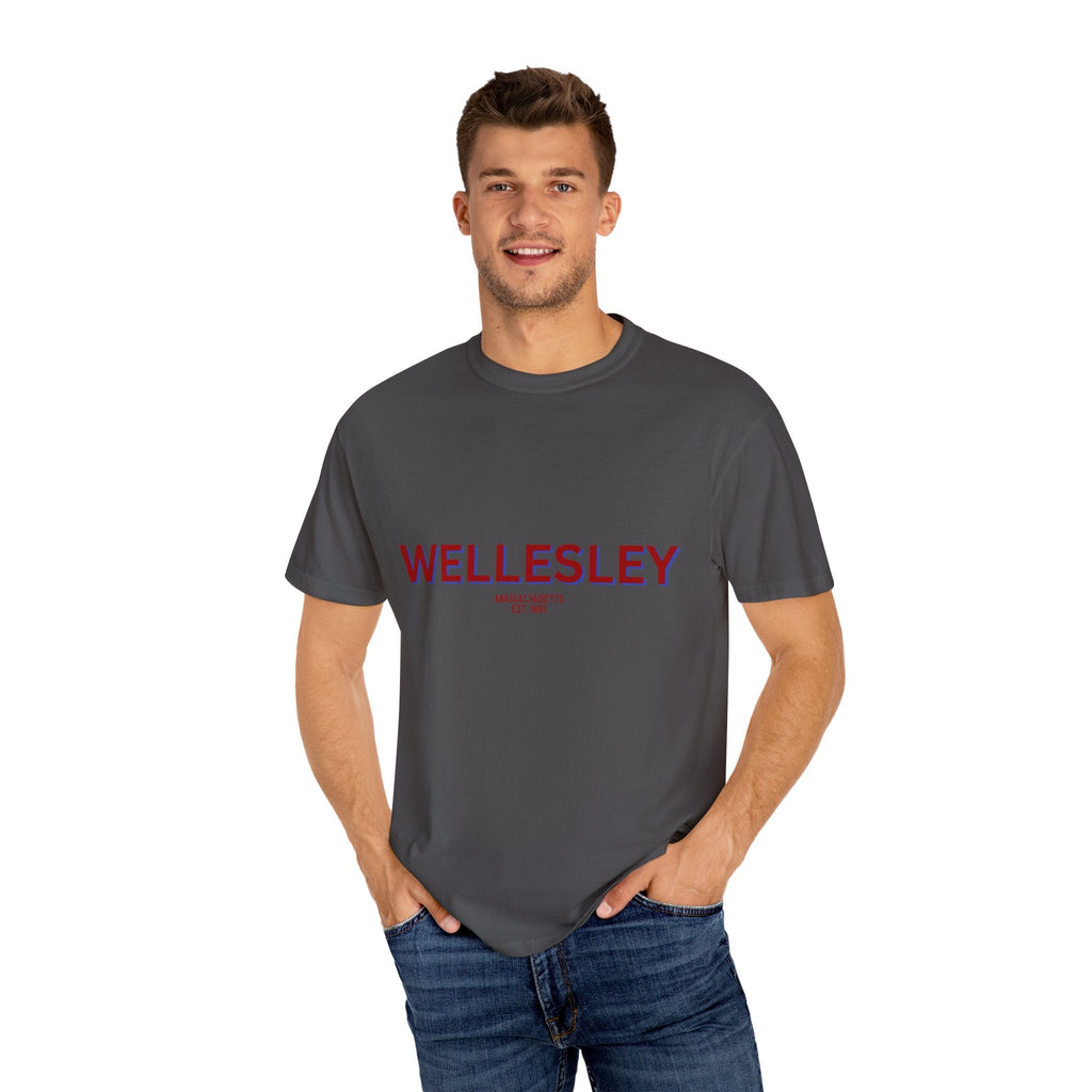 Wellesley Garment-Dyed Unisex T-Shirt, Casual Tee, Vintage Style Shirt, Everyday Wear, Birthday Gift, Unique Apparel