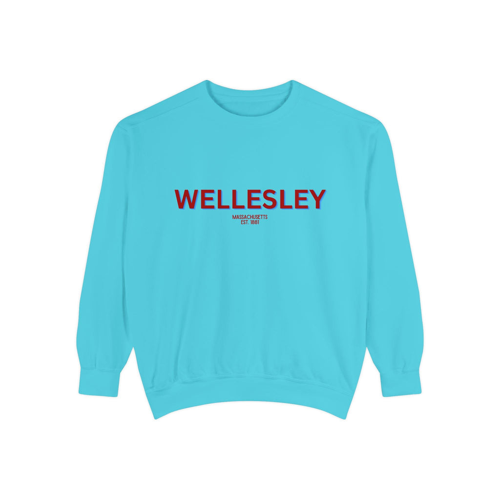 Wellesley Unisex Garment-Dyed Sweatshirt | Cozy Fashion, Perfect for Casual Outings, Gifts, Fall & Winter Style, Everyday Comfort