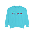 Wellesley Unisex Garment-Dyed Sweatshirt | Cozy Fashion, Perfect for Casual Outings, Gifts, Fall & Winter Style, Everyday Comfort