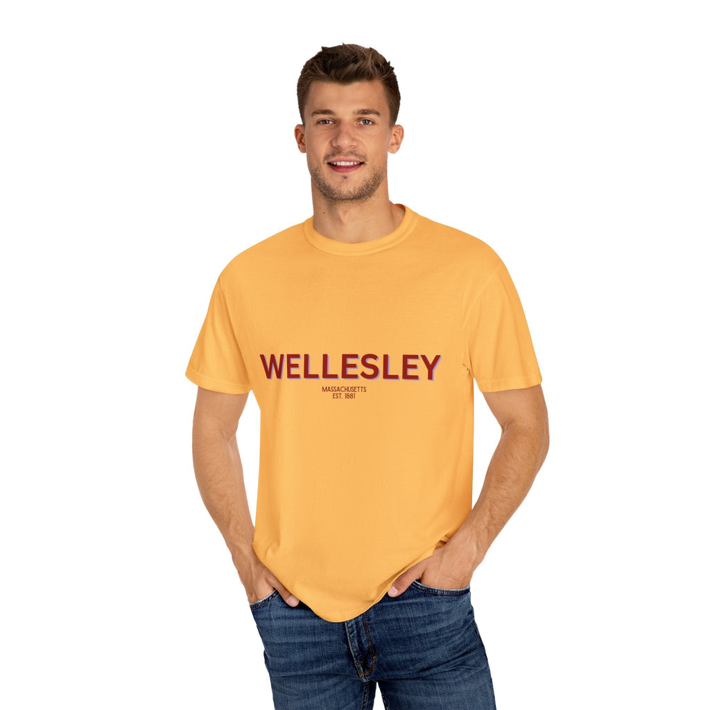Wellesley Garment-Dyed Unisex T-Shirt, Casual Tee, Vintage Style Shirt, Everyday Wear, Birthday Gift, Unique Apparel