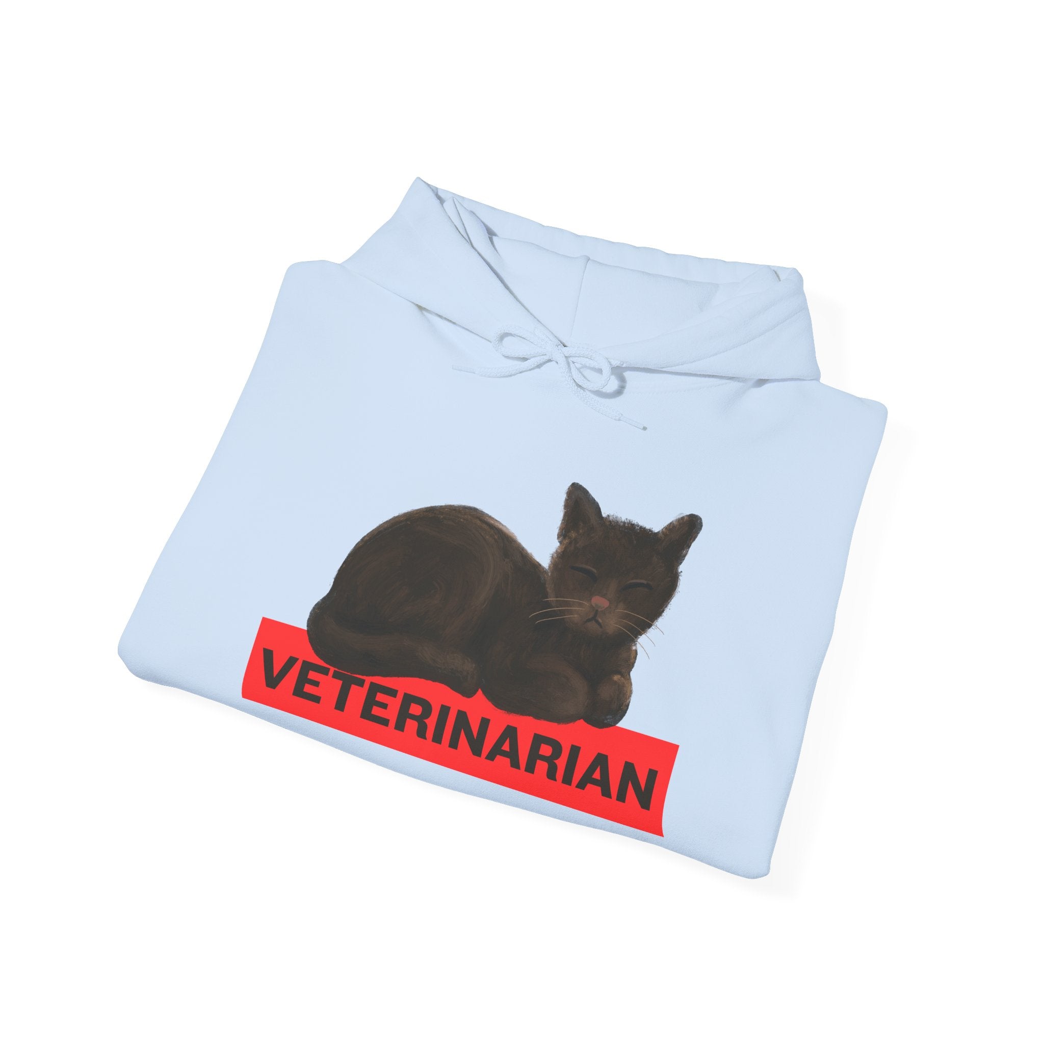 Veterinarian Cat Hoodie for Animal Lovers, Unisex Sweatshirt, Gifts for Vet Students, Pet Owners, Animal Enthusiasts, Cozy Gift Idea