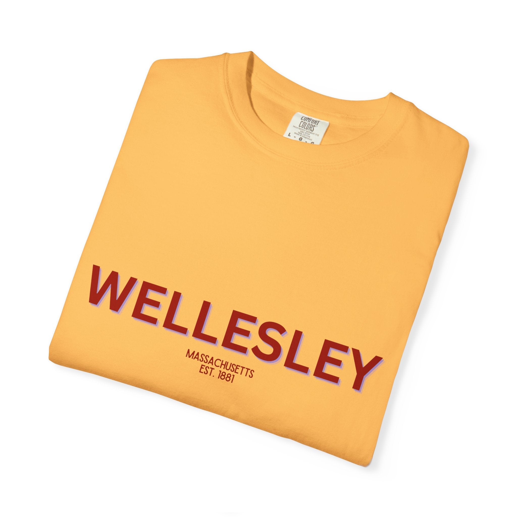 Wellesley Garment-Dyed Unisex T-Shirt, Casual Tee, Vintage Style Shirt, Everyday Wear, Birthday Gift, Unique Apparel