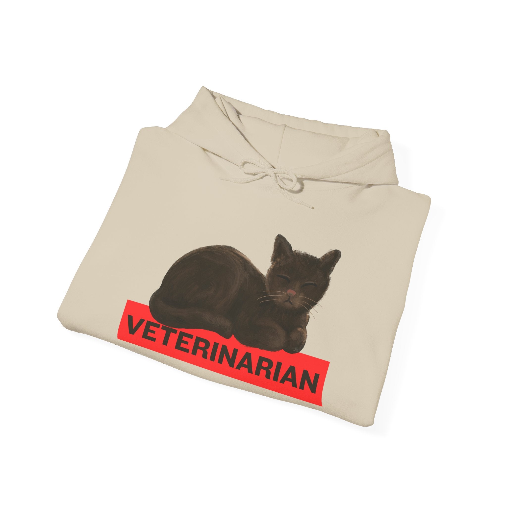 Veterinarian Cat Hoodie for Animal Lovers, Unisex Sweatshirt, Gifts for Vet Students, Pet Owners, Animal Enthusiasts, Cozy Gift Idea