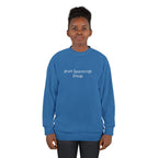 Bruin Spacecraft Group Sweatshirt
