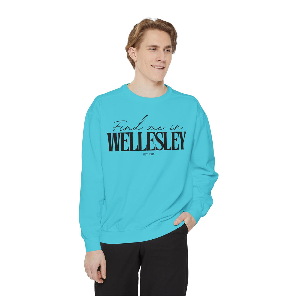 Wellesley Cozy Sweatshirt, Unisex Garment-Dyed Crew, Casual Wear, Gift for Friends, Fall Fashion, Lounge Style