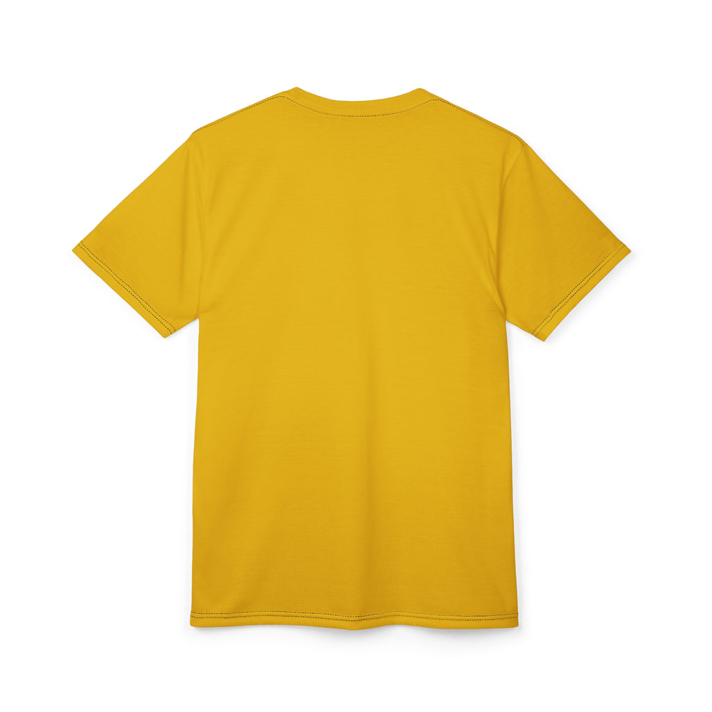 Design/Build/Fly at the University of Florida Tee