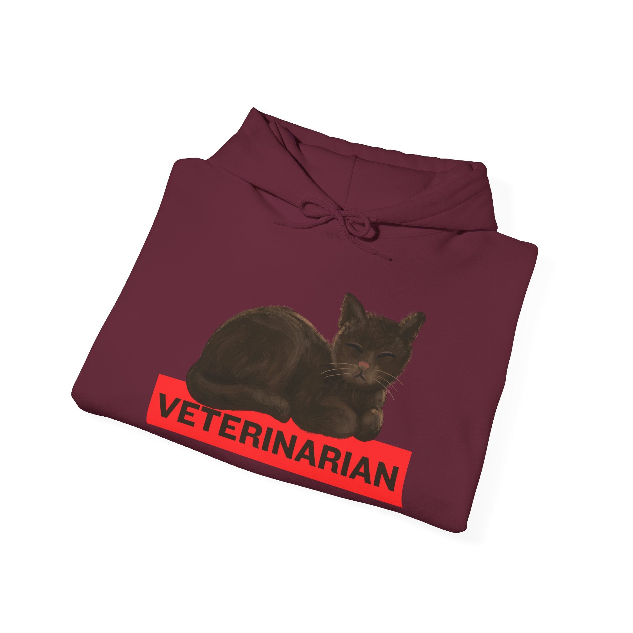 Veterinarian Cat Hoodie for Animal Lovers, Unisex Sweatshirt, Gifts for Vet Students, Pet Owners, Animal Enthusiasts, Cozy Gift Idea